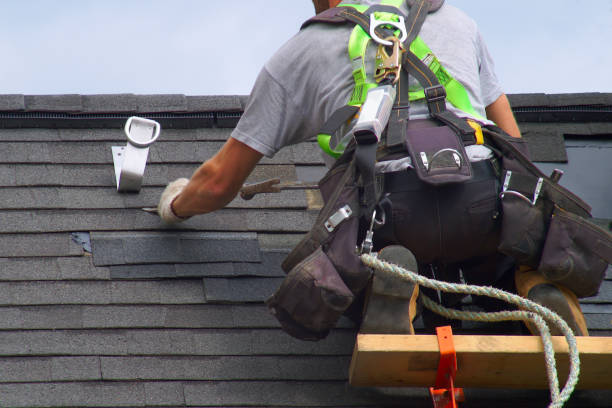 Best Roof Gutter Cleaning  in Grove City, PA